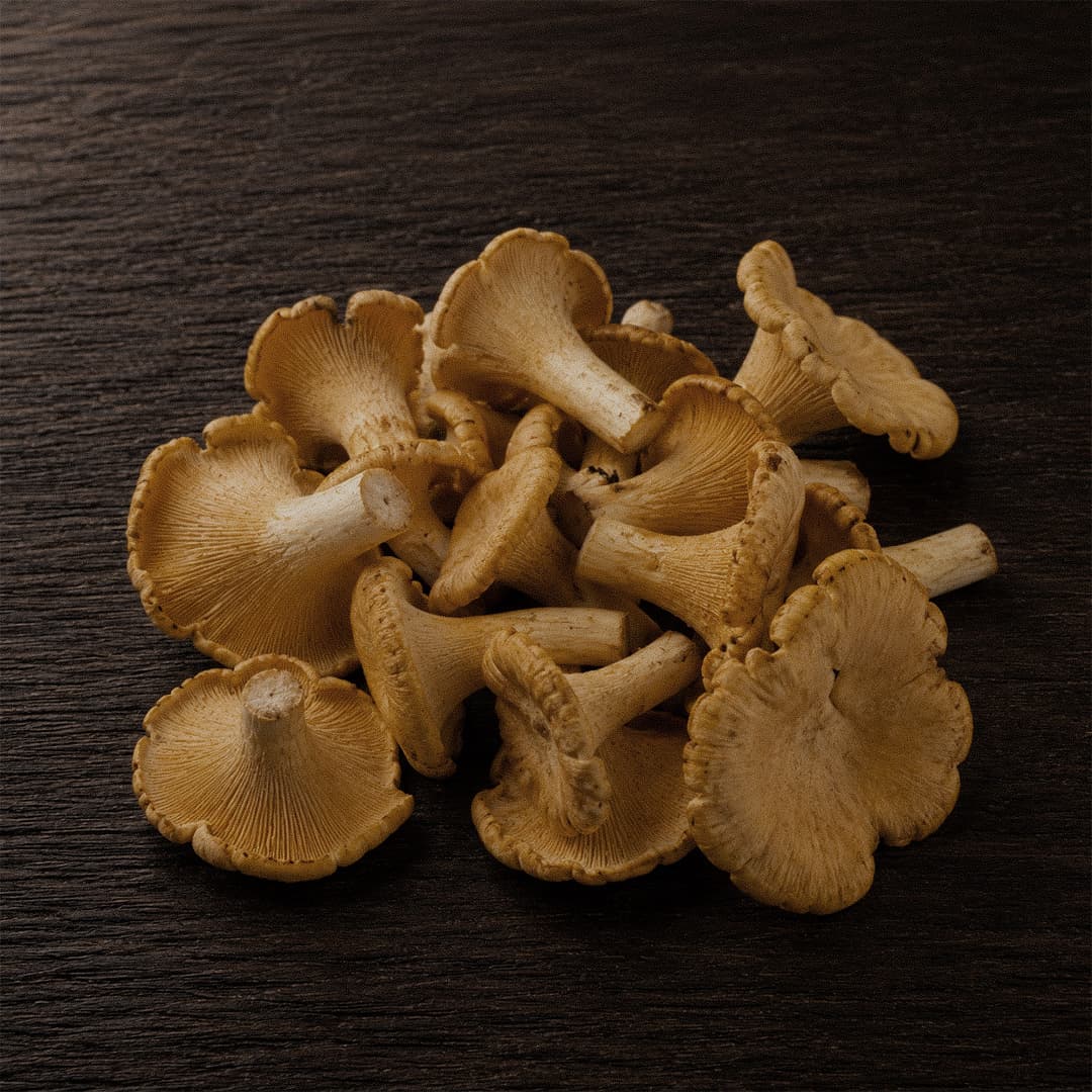 Chanterelle