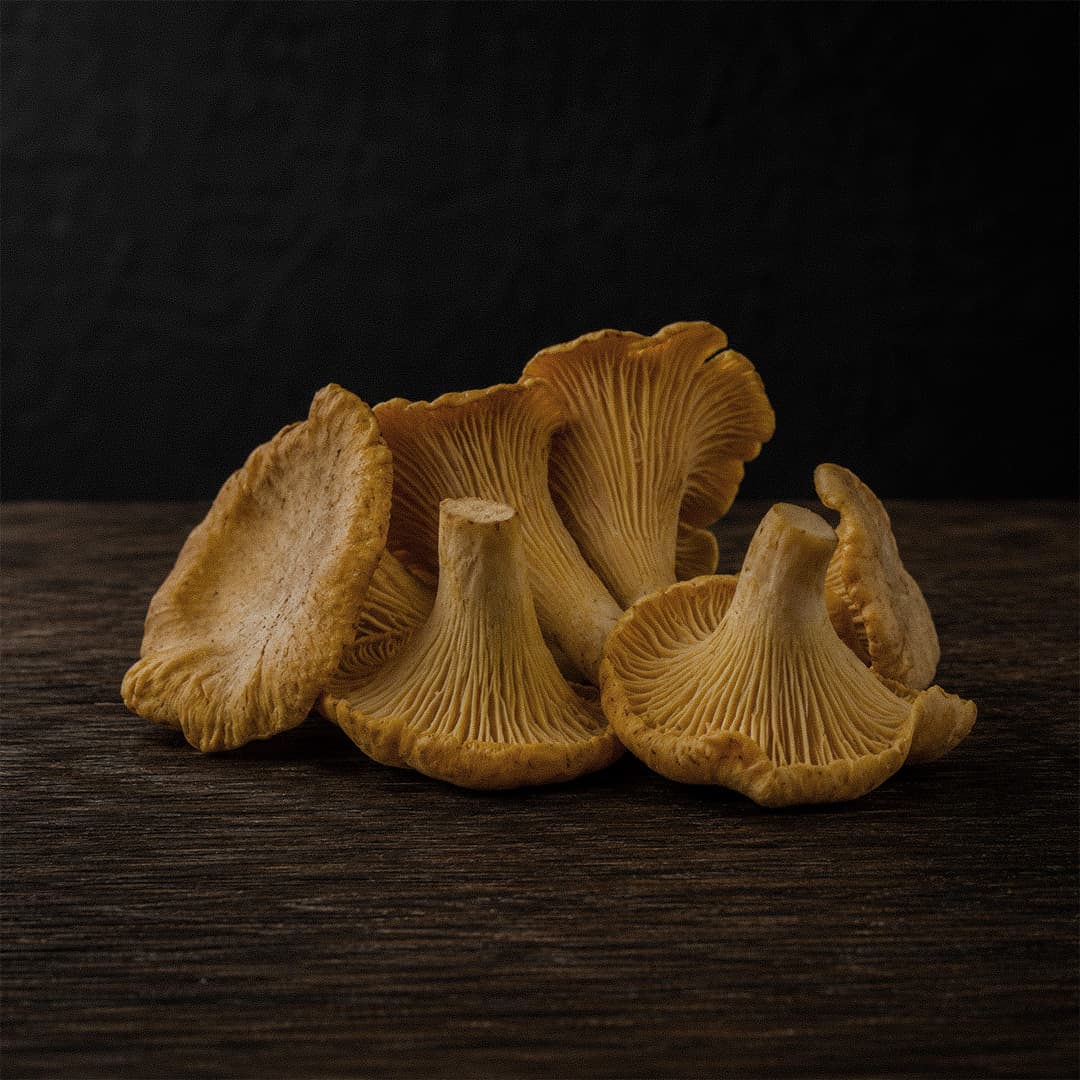 Brown Clamshell