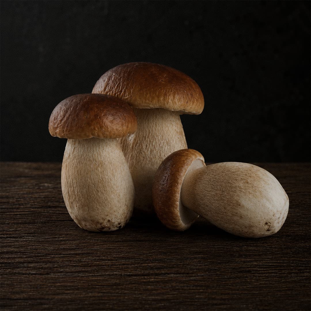 Porcini