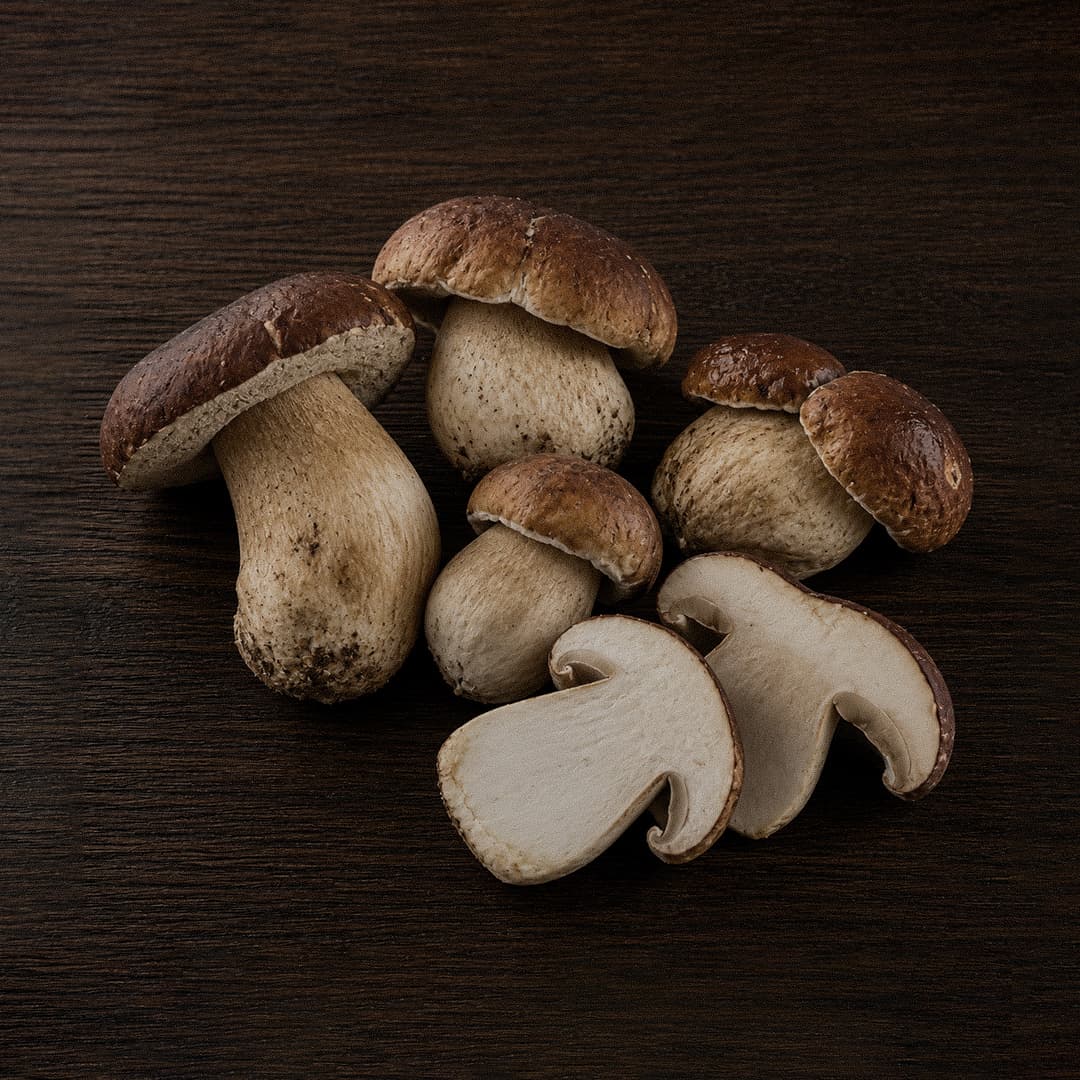 Lactarius Deliciosus